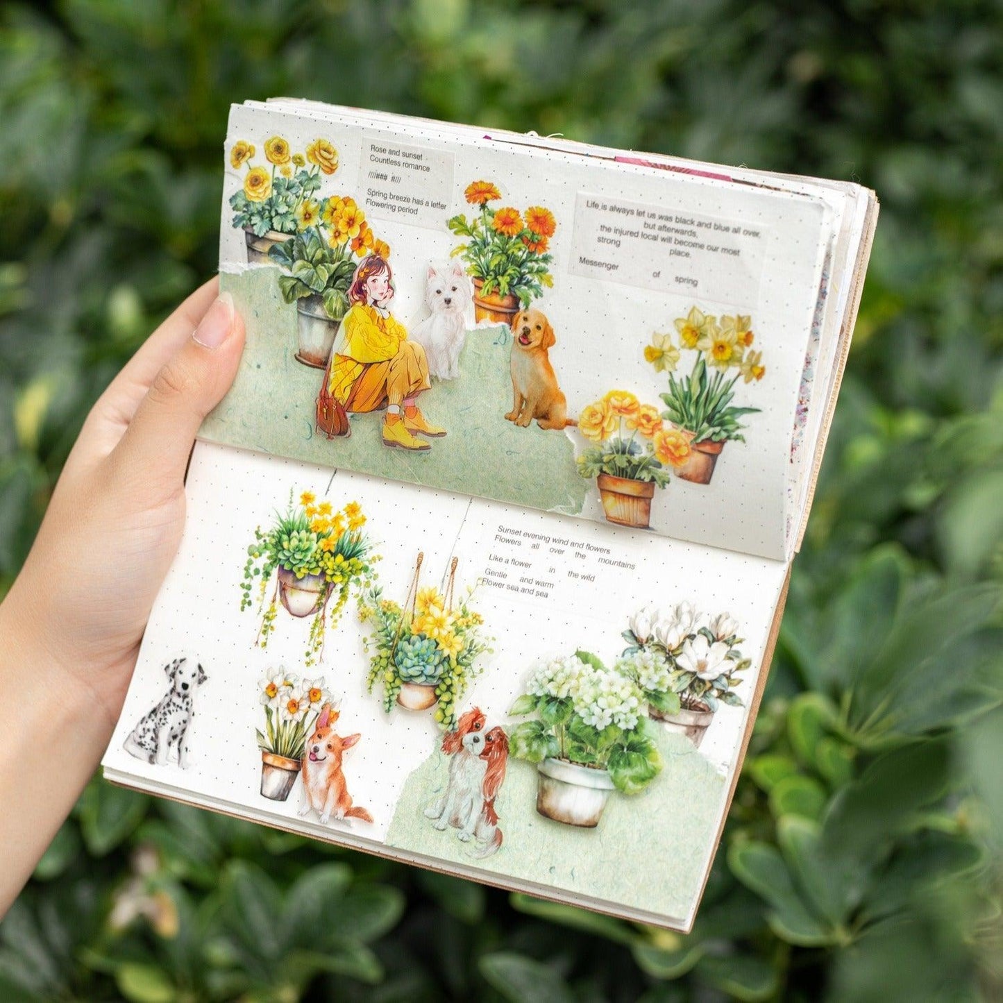 1182 PET Sticker Pack Small Potted Plant Series - Memo Journals