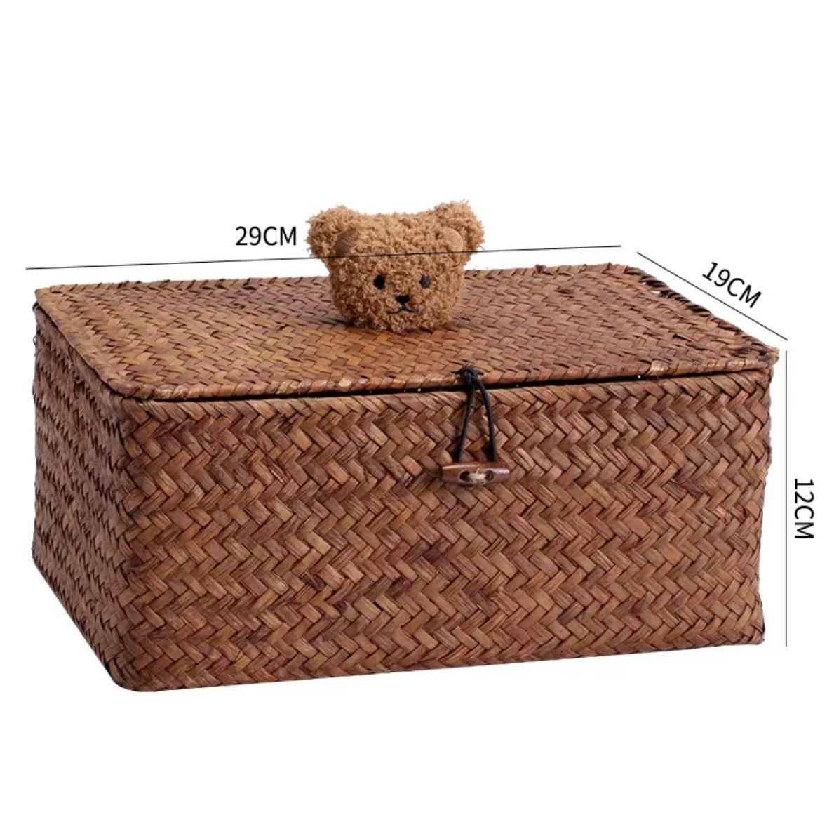 6009 Bear Desktop Storage Box - Memo Journals