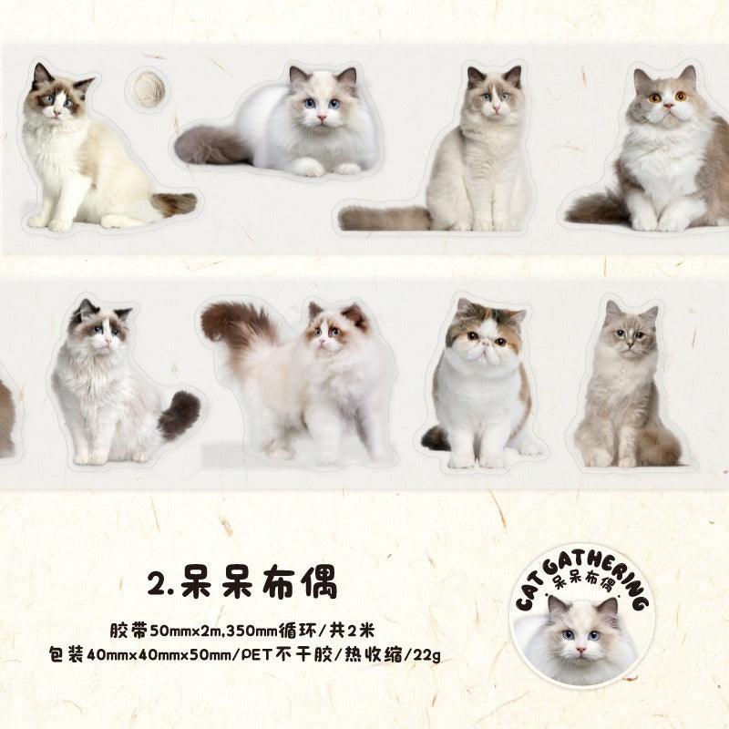 3006 PET Tape Cat Rally Series - Memo Journals