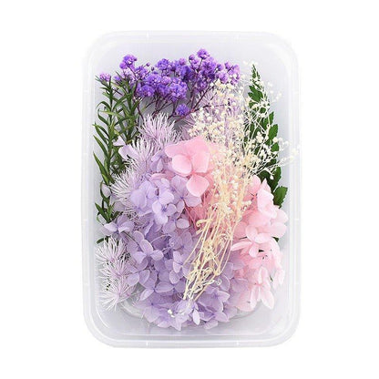 9131 Real dried flowers everlasting flower box handmade diy material - Memo Journals