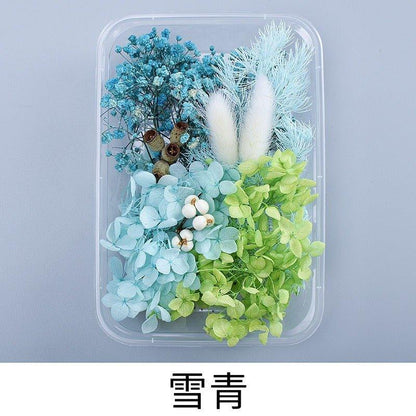 9131 Real dried flowers everlasting flower box handmade diy material - Memo Journals